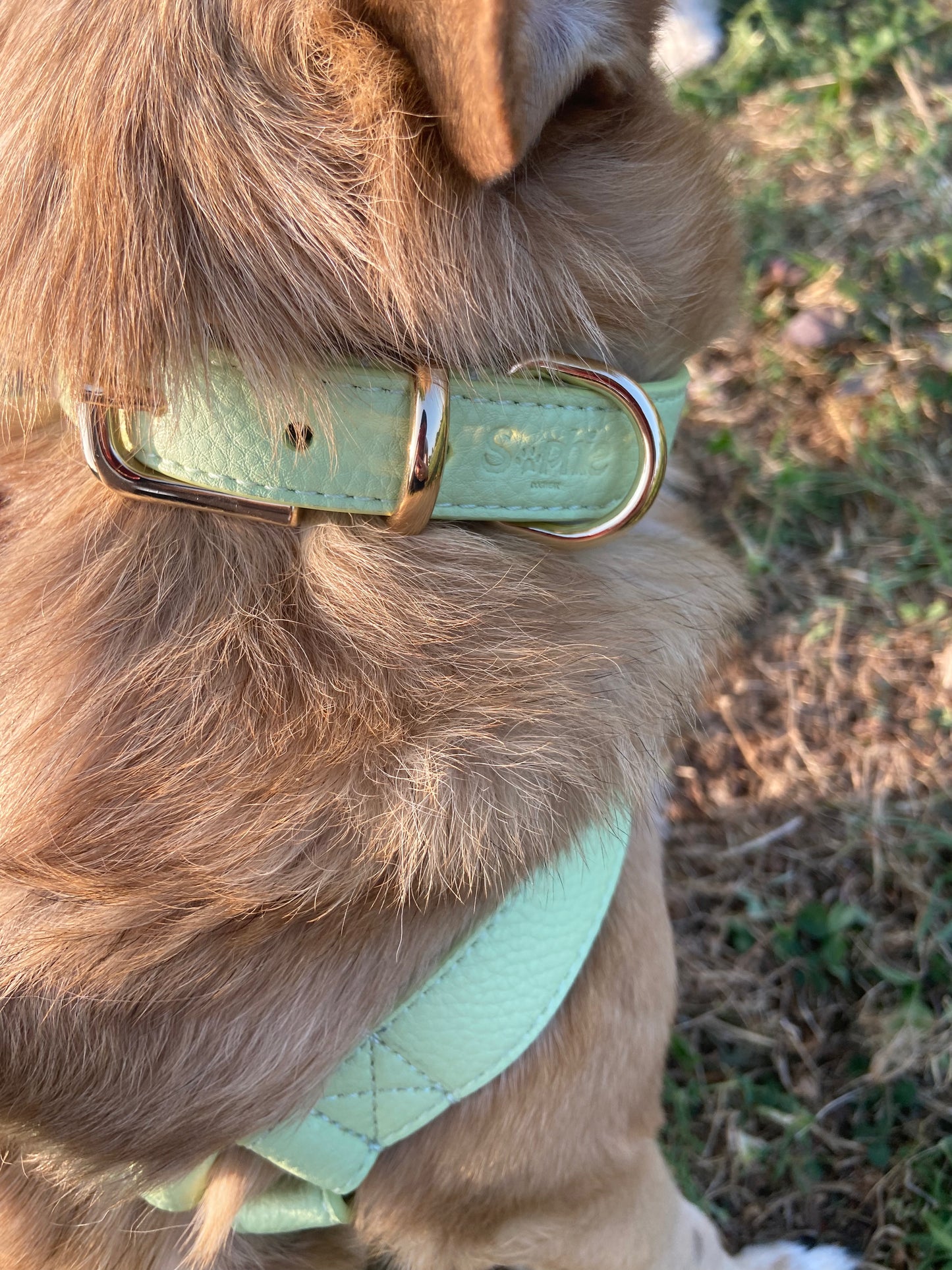 Set Completo Sophie: Collare + Pettorina + Guinzaglio Tracolla + Poo Bag