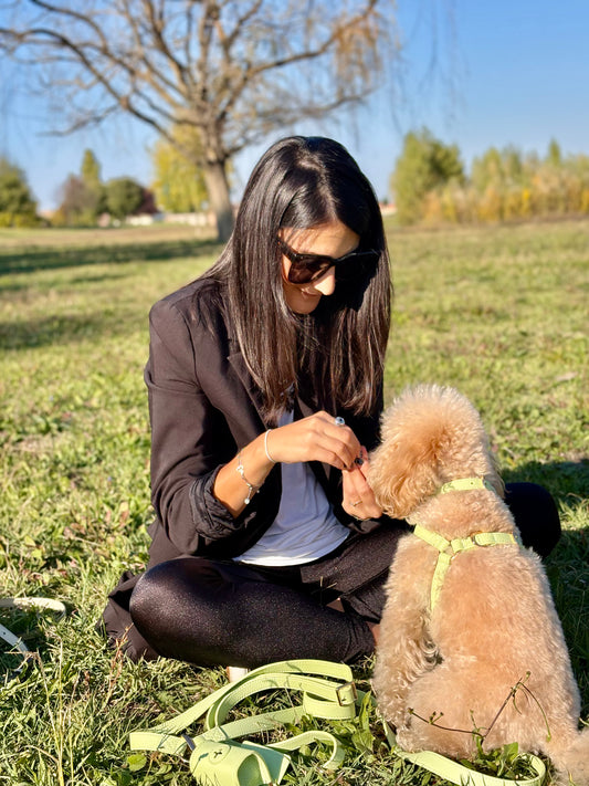 Set Completo Sophie: Collare + Pettorina + Guinzaglio Tracolla + Poo Bag