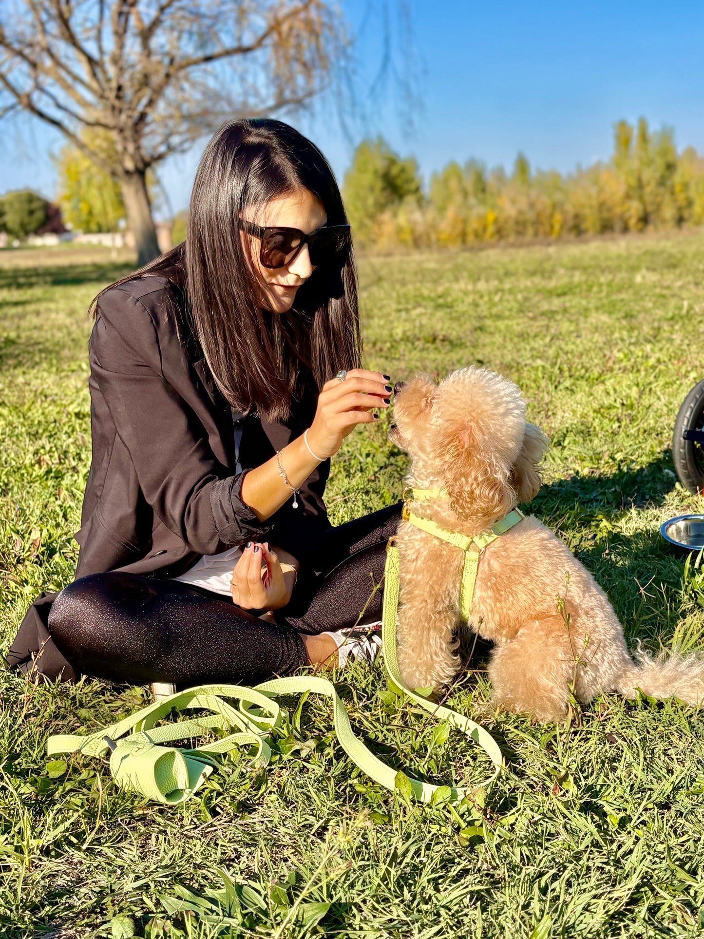 Set Completo Sophie:  Collare + Pettorina + Guinzaglio Tracolla + Poo Bag