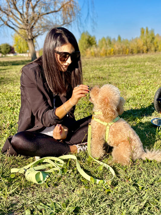 Set Completo Sophie:  Collare + Pettorina + Guinzaglio Tracolla + Poo Bag