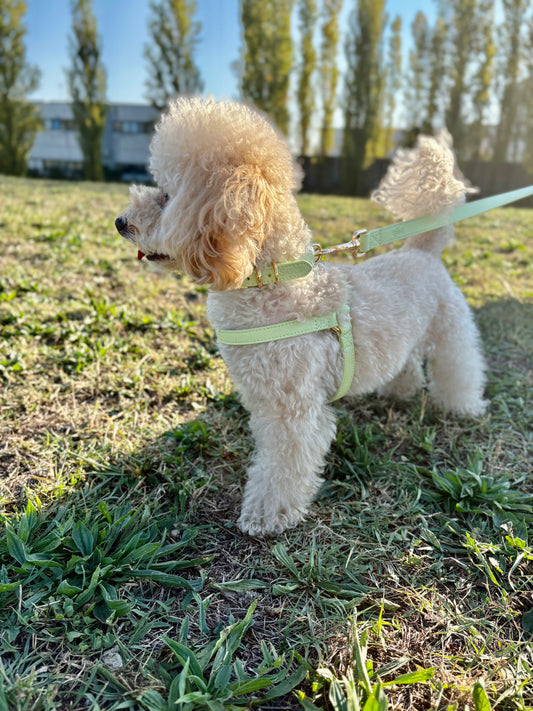 Pettorina regolabile in pelle microfibra – comfort e stile in ogni uscita